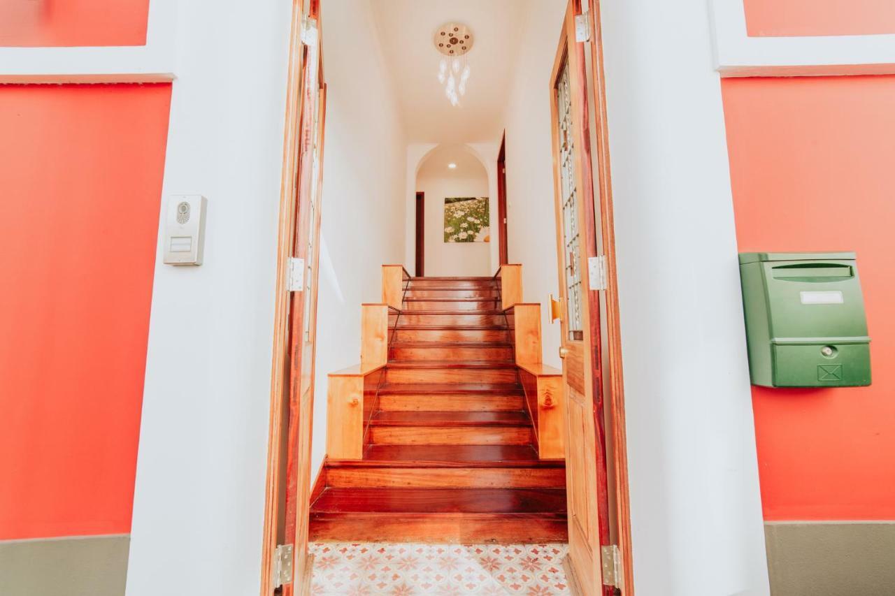 Casa Strelitzia Apartment Funchal  Exterior photo